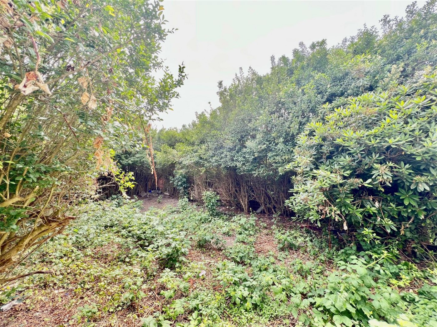 Images for Wellington Avenue, Hounslow, TW3